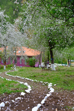 bahçe