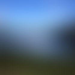 ADVENTURE IS OUT THERE