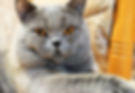 C2D45D78-39BB-4981-A5D3-957596BA4FED_edited.jpg