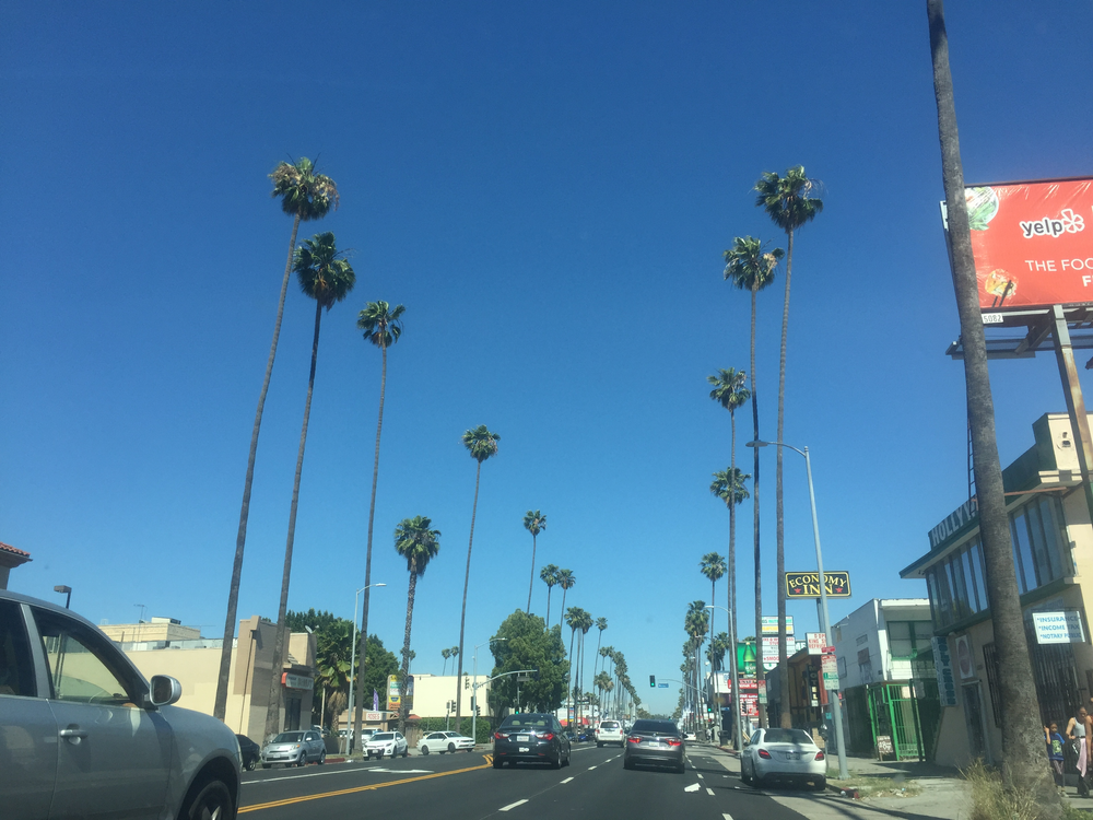 Sunset Boulevard