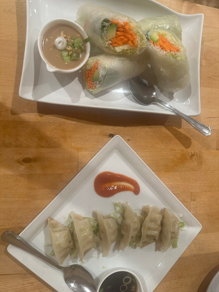 Summer rolls and veggie dumplings at Green Elephant