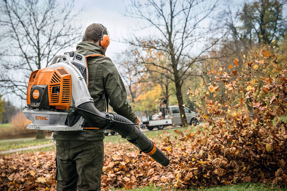 using a backpack leaf blower to blow leaves into the direction of the leaf vacuum to suck up leaves onto the trailer