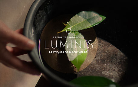 ILLUSTRATION_Luminis.jpg