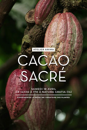 atelier_anima_cacao.jpg