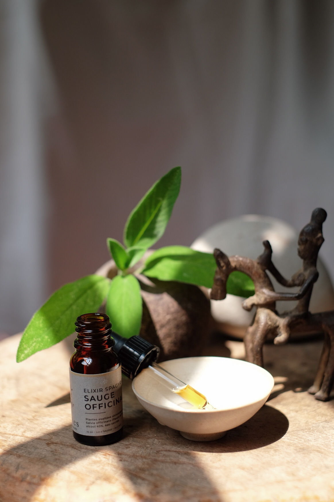 SAUGE OFFICINALE | Réconciliation, souveraineté, unité, alliance