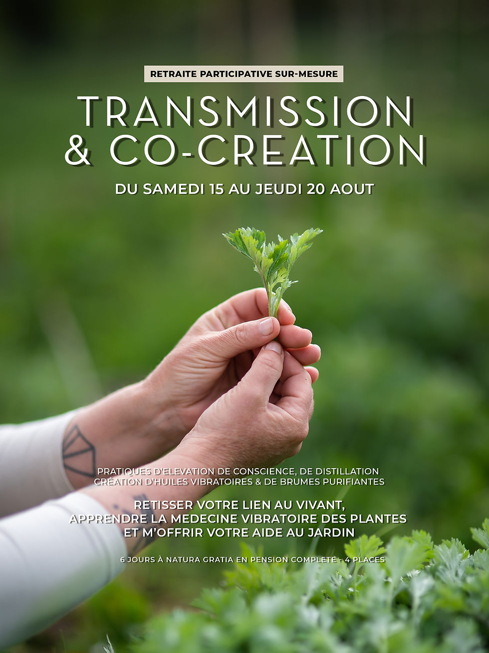 TRANSMISSION & CO-CREATION | Retraite participative | Créer ses médecines vibratoires