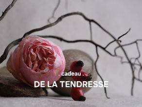 VIDEO | Je vous offre de la tendresse.