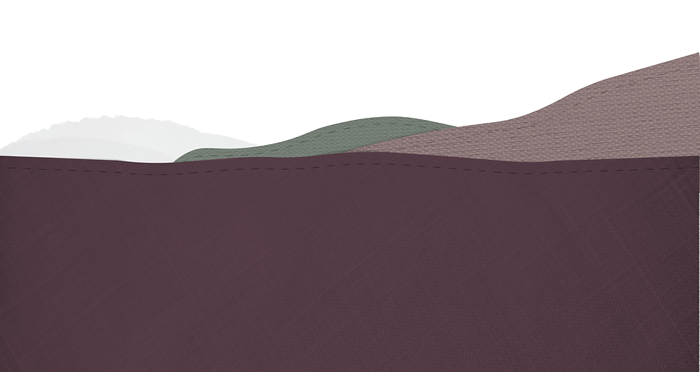 Test 1 IB.png