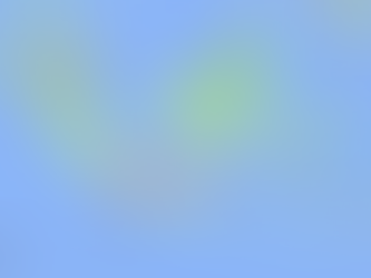 インドネシア　介護