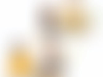 特定技能 介護 インドネシア