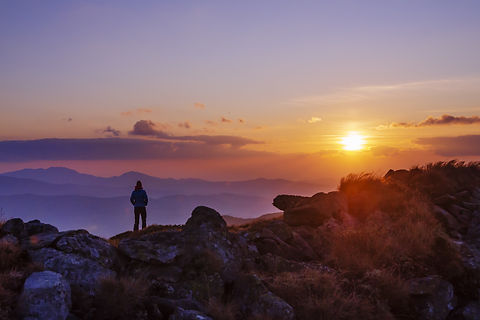 AdobeStock_299078039.jpeg