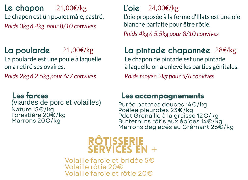 Noel 2025 flyer (1)_edited.jpg