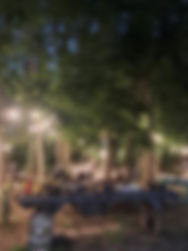 20230527_220411.jpg