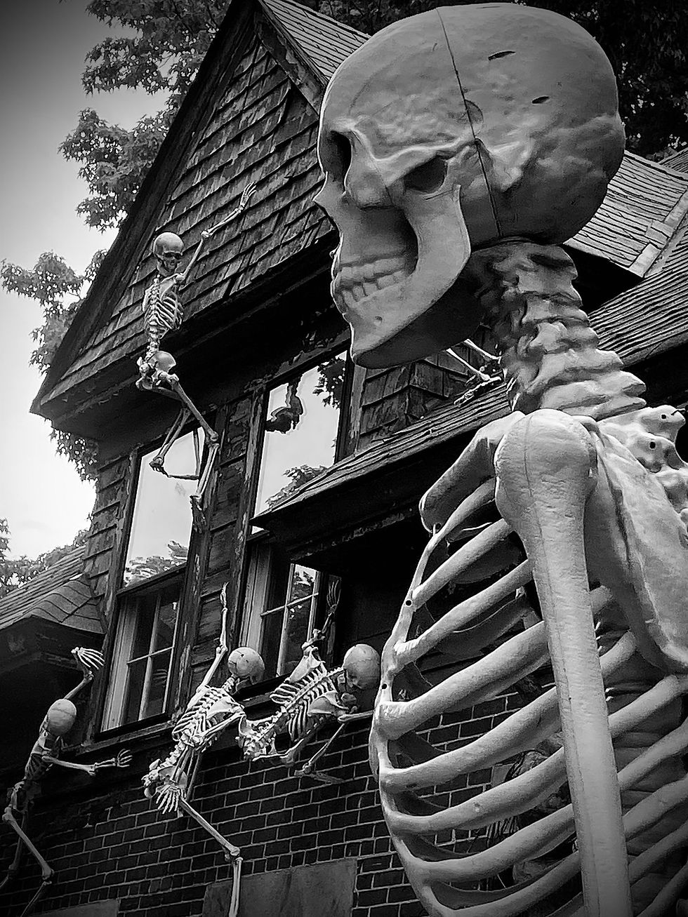 skelly
