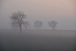 Les brumes de l'aube