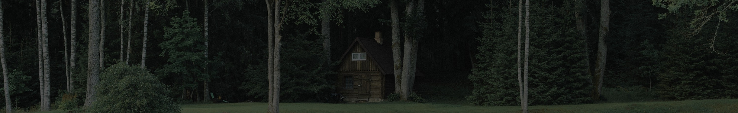 Cabin in the Woods_edited.jpg