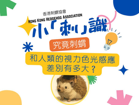 小「刺」識31-究竟刺蝟和人類的視力色光感應差別有多大？