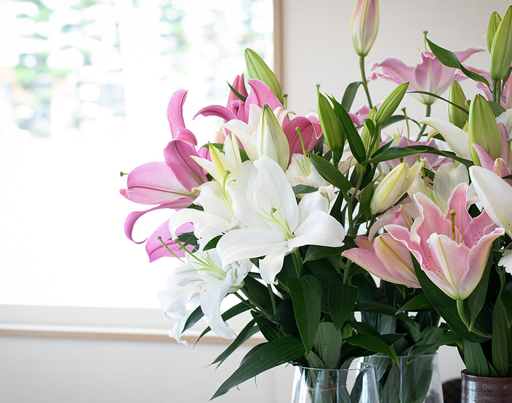 千歳園 HPデザイン案 (8).png