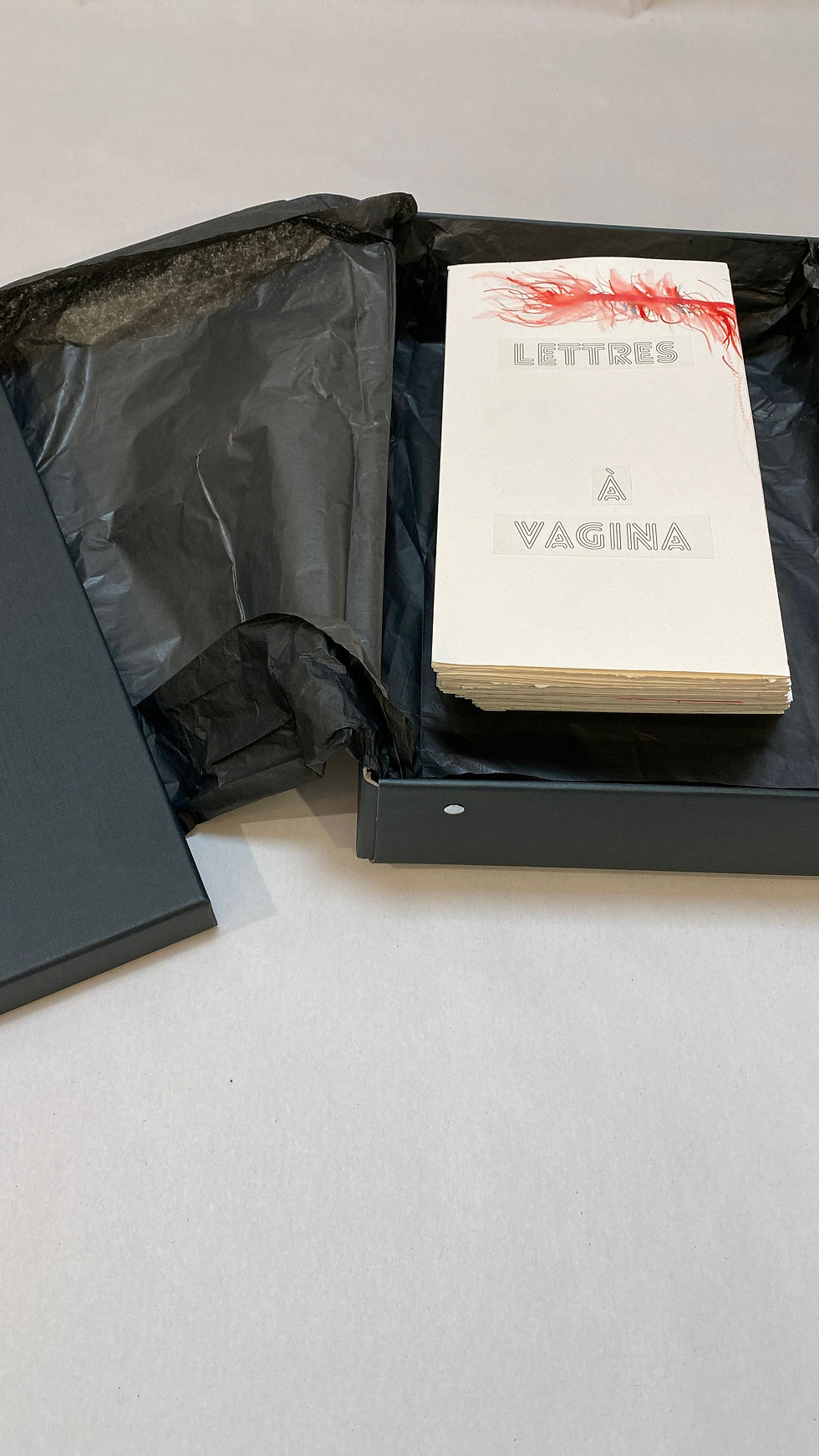 Lettres à Vagina