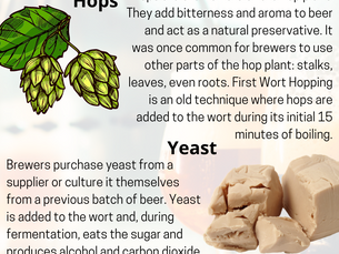 The 4 Main Ingredients In Craft Beer