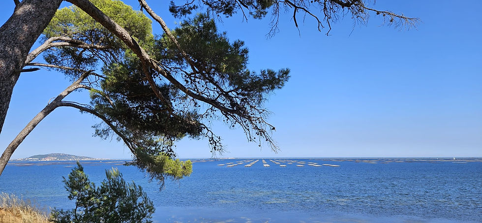 Logement pour cure Etang de Thau