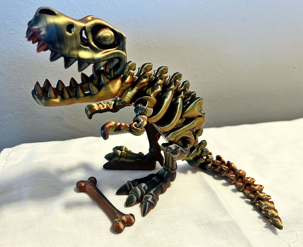 Thumbnail: T Rex Skeleton - Medium - Dinosaur Toy Model