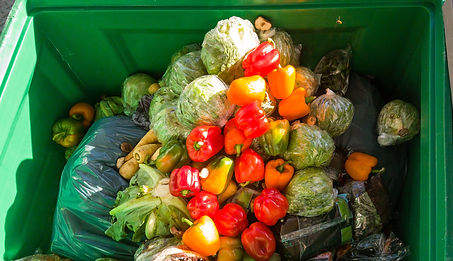 Food in the garbage container.jpg