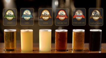 Que tal conhecer sobre cerveja de modo interativo?