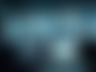 The Importance of Security Risk Assessments and Risk Evaluation Strategies in South Africa