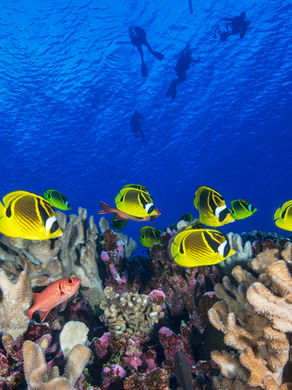 Jack Laurie’s Top 5 Tips for Scuba Diving Like a Pro