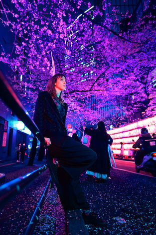 DSC_9179_pp Sm.jpg