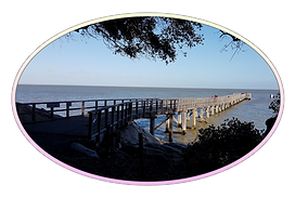 Le bois de la chaise - Noirmoutier