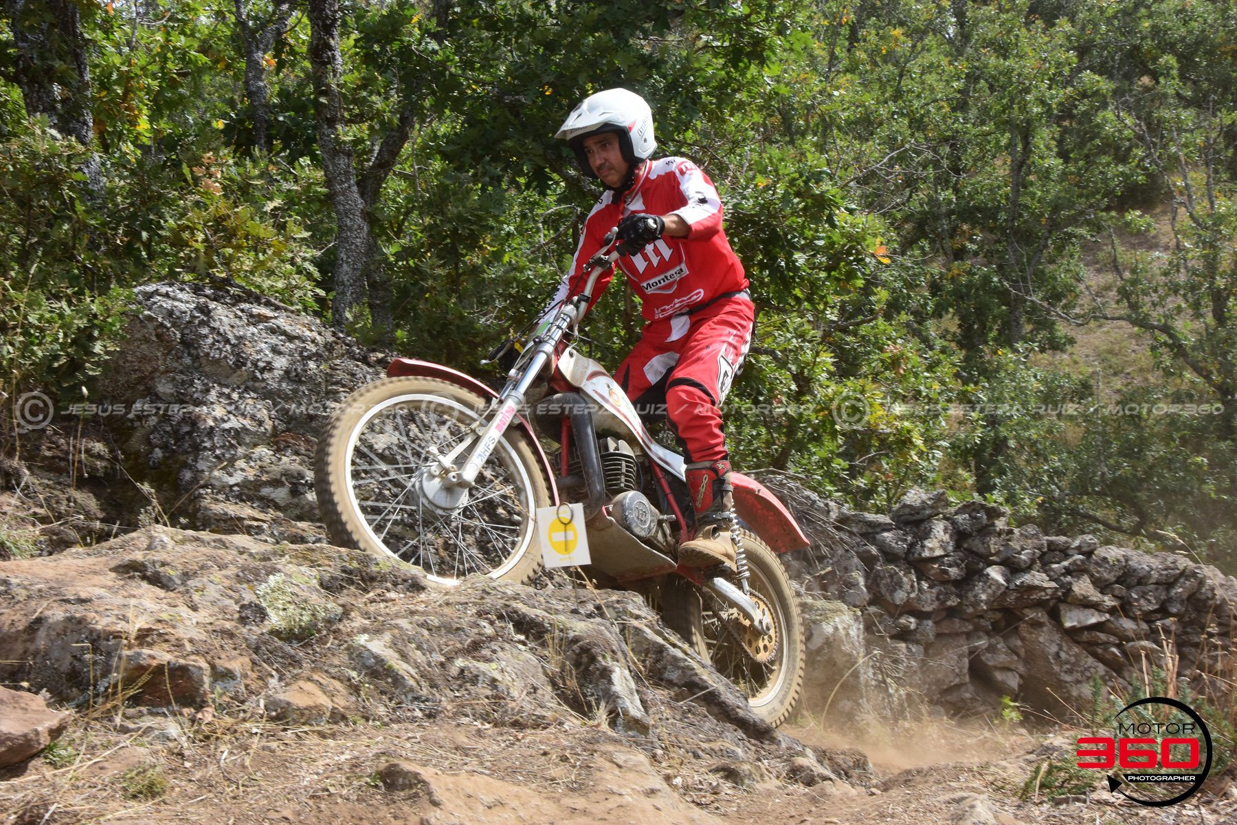036_ROB_9855