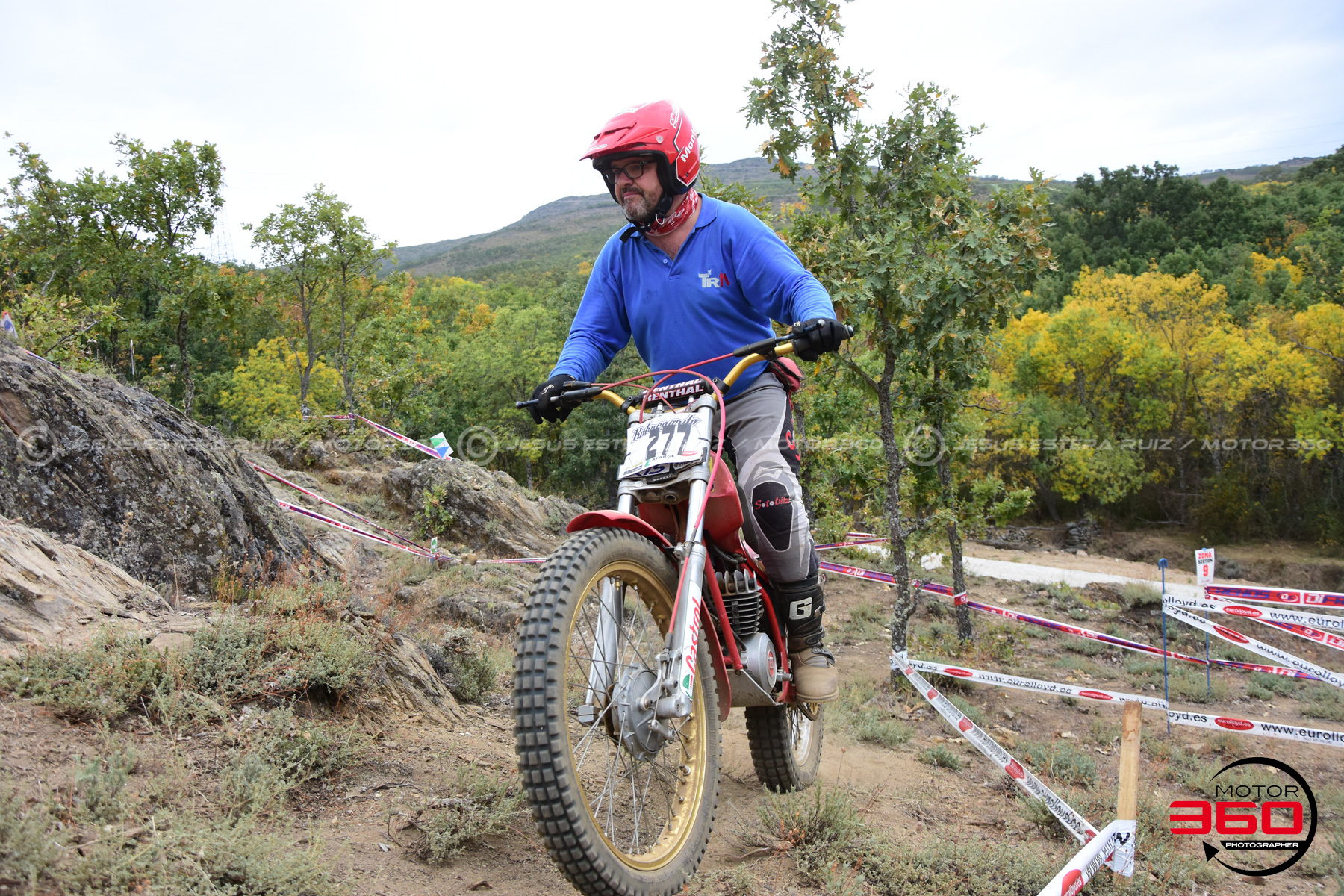 277_ROB_9161