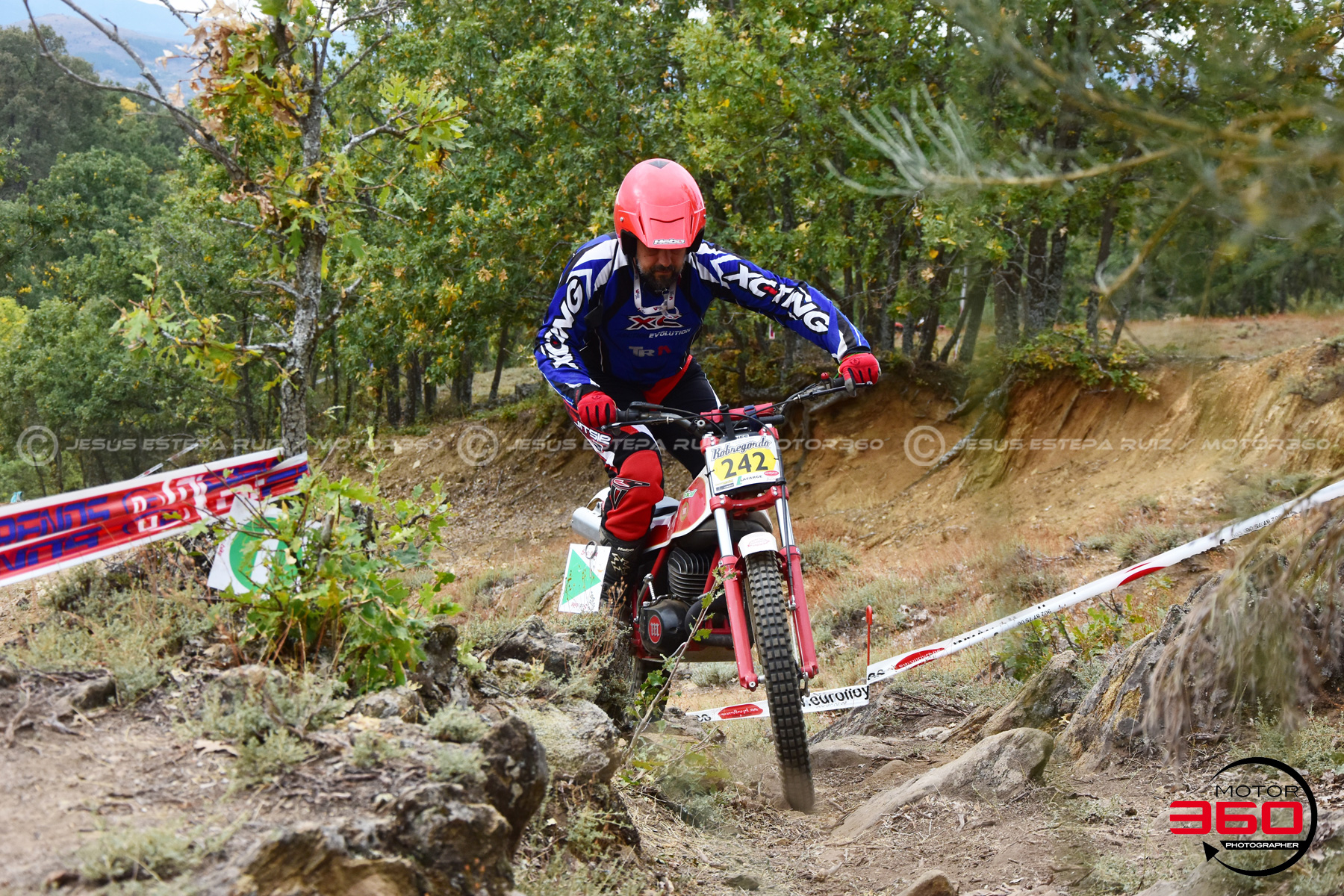 242_ROB_9164