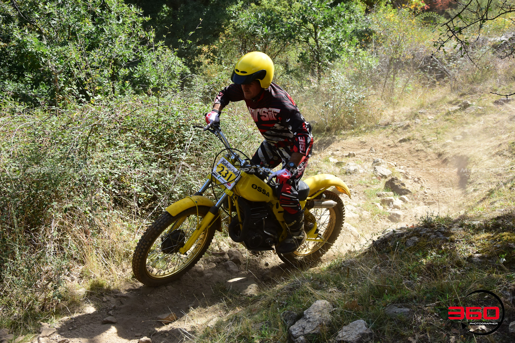 231_ROB_9642