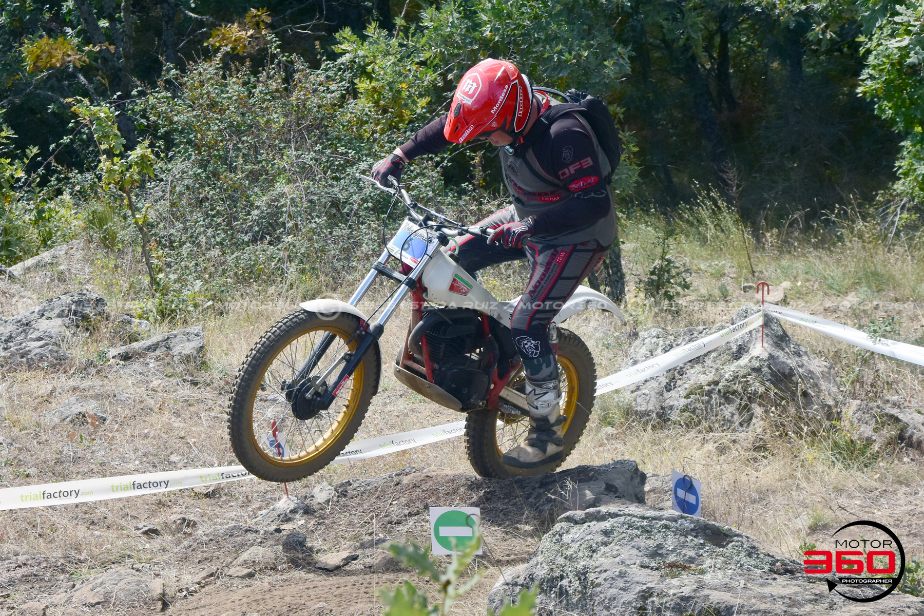 006_ROB_9813