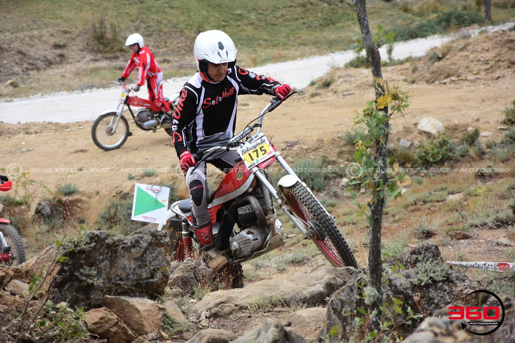 175_ROB_9308