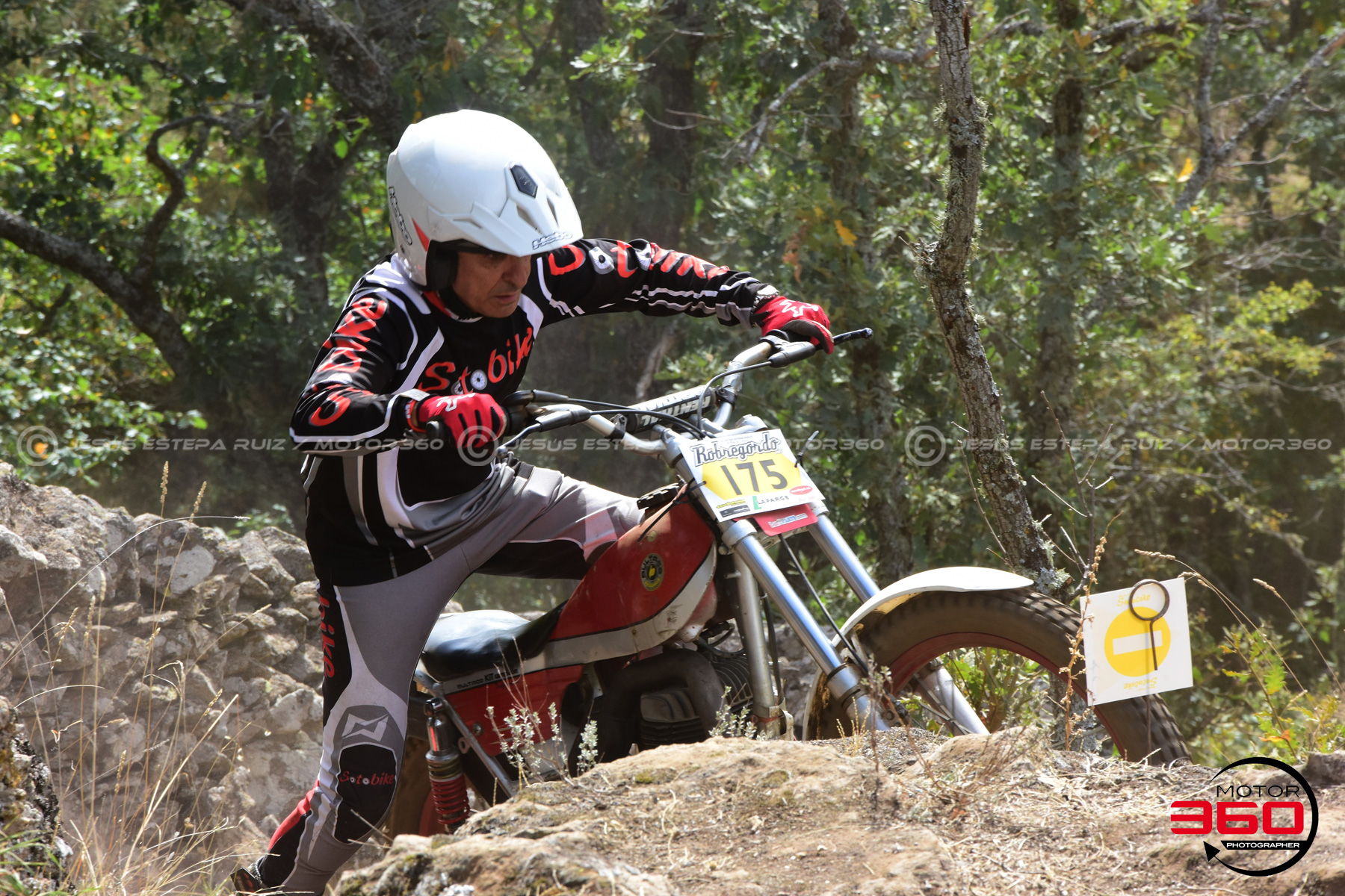 175_ROB_9868