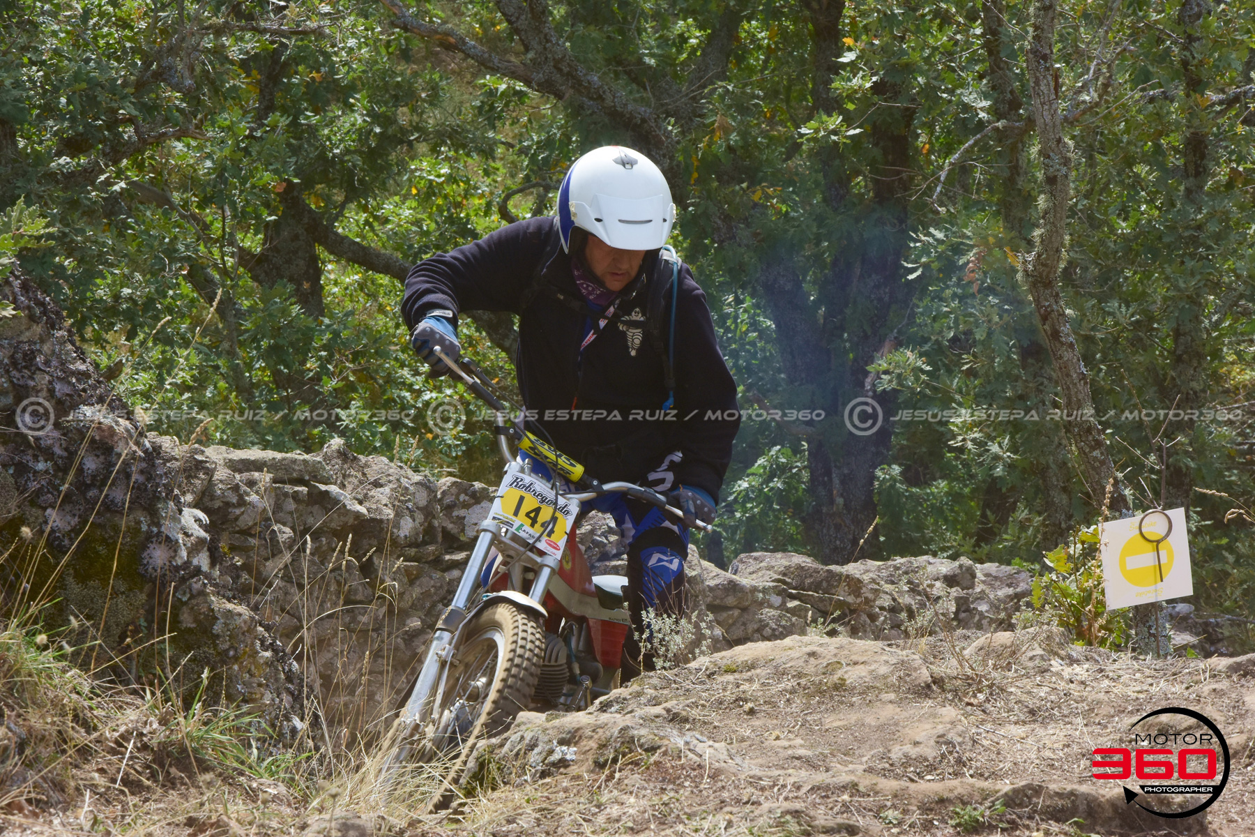 144_ROB_9736