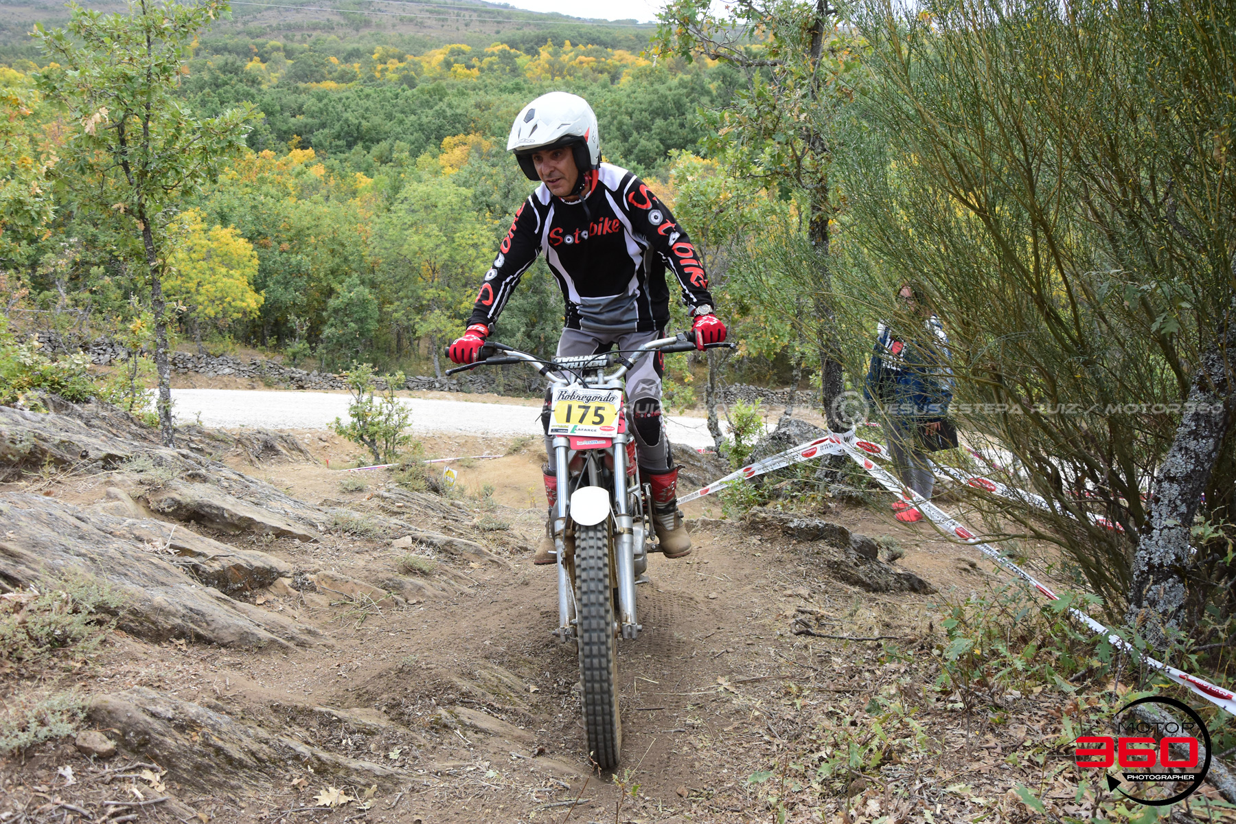 175_ROB_9311