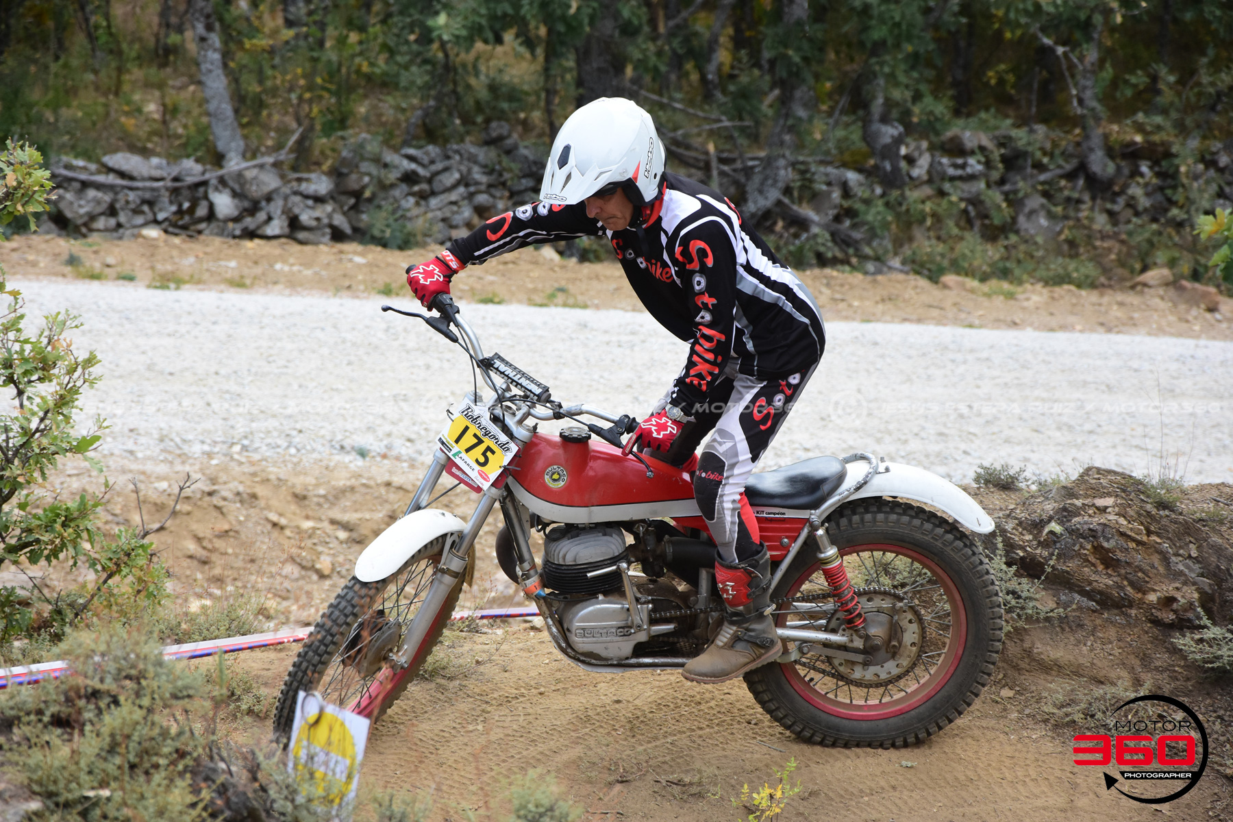 175_ROB_9310