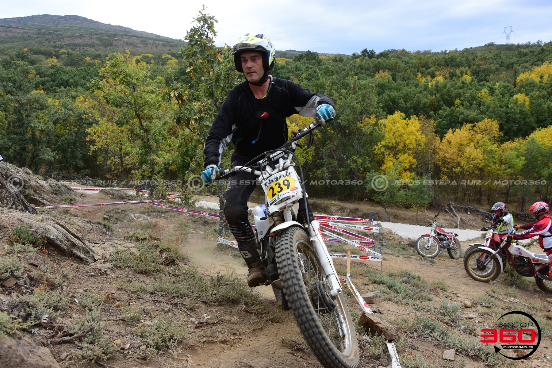 239_ROB_9183