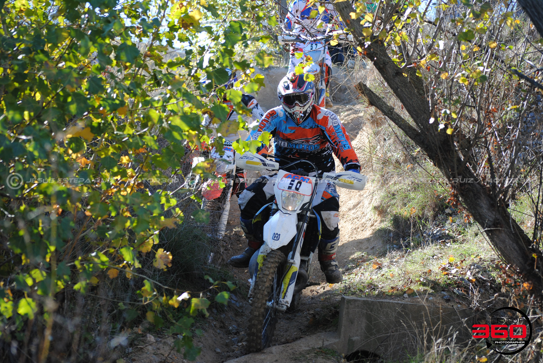 Pedro_Goncalves_Pedro_Luis
