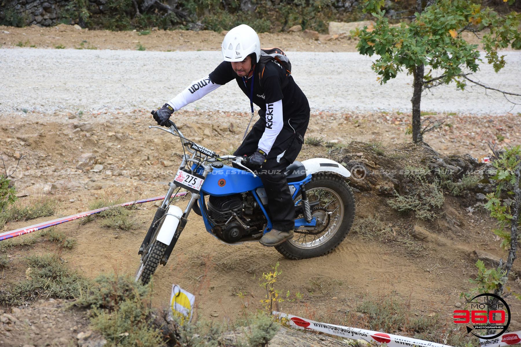 275_ROB_9256