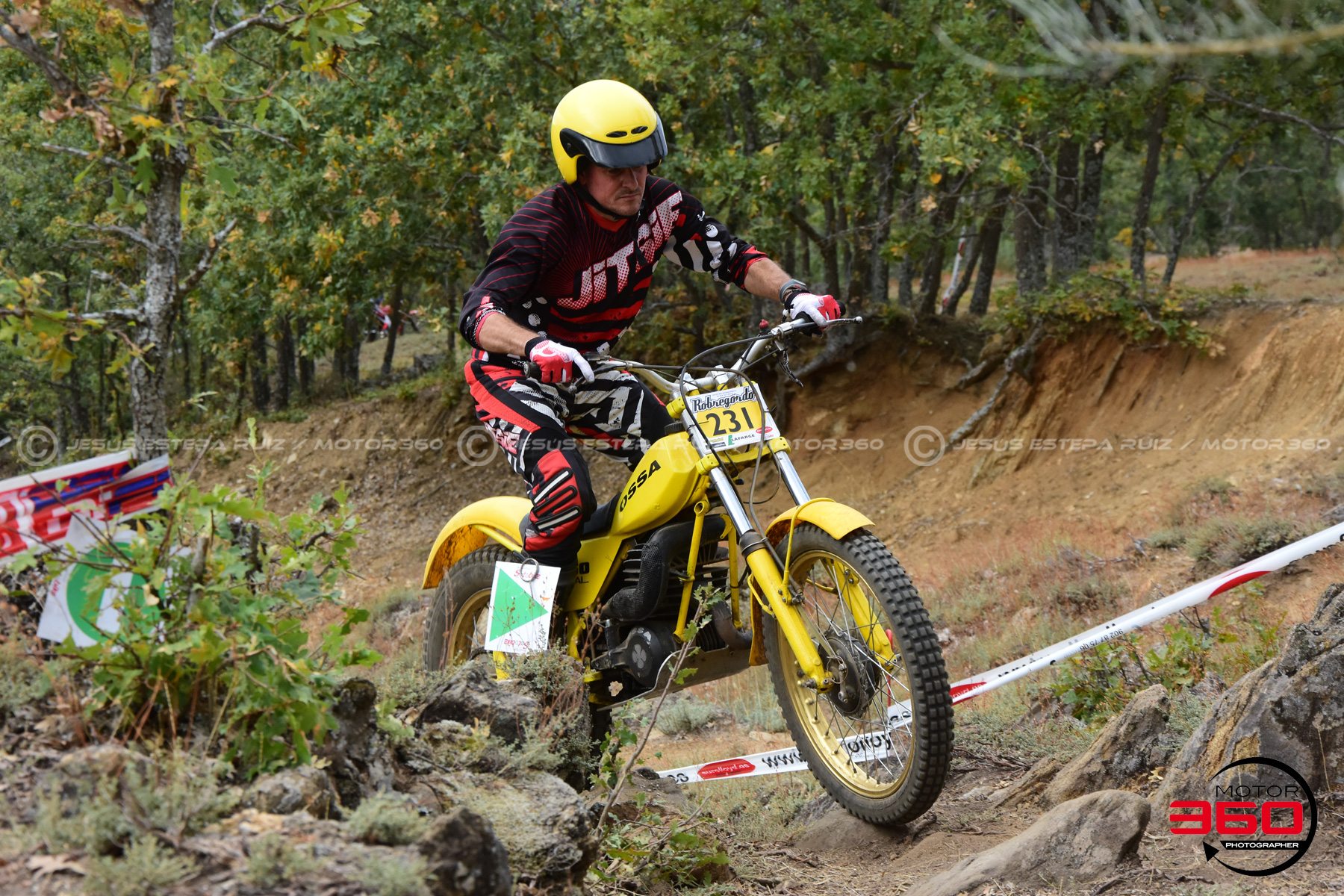 231_ROB_9203