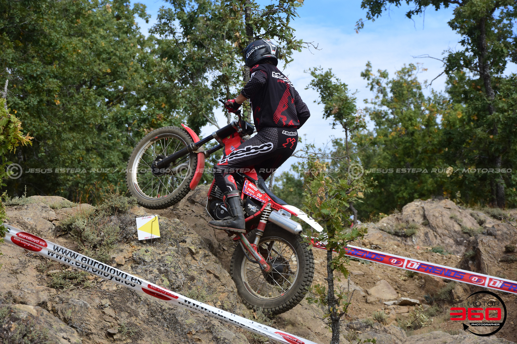 041_ROB_9536