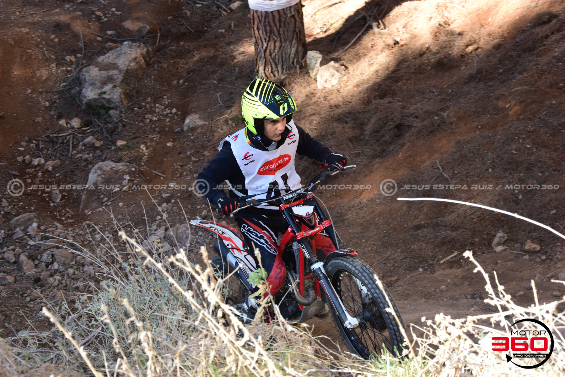 041_ROB_1733