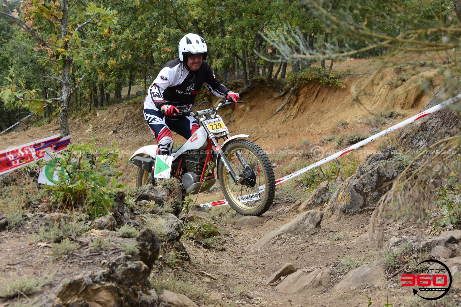 229_ROB_9201