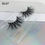 Thumbnail: Package Box Custom Mink Eyelashes Private Label Natural False Full Strip Eyelash